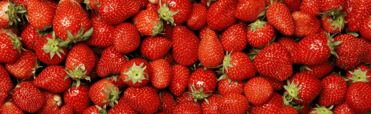 توت فرنگی تازه | fresh strawberries